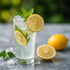 Demeter Botanicals 12 100% Lemon Juice powder, Ounces | Cold Pressed Lemons | Natural Fruit | No Added Sugar