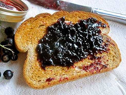 12 oz Fancy Black Currant Jelly by Pioneer Valley