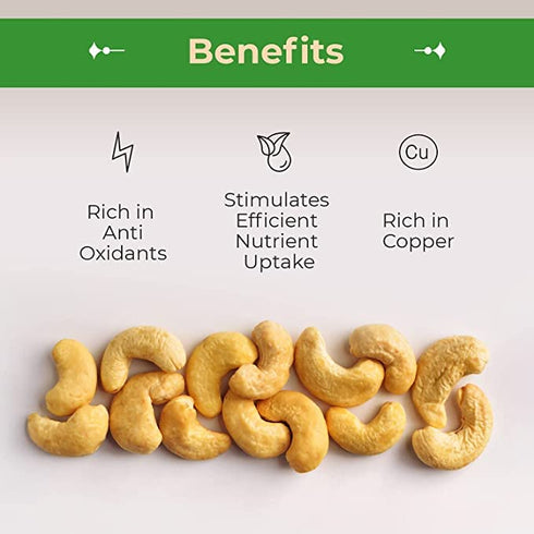 Lb. Sincerely Nuts Whole Cashews Roasted and Salted | Two Bag | Deluxe Kosher Snack Food | Healthy Source of Protein