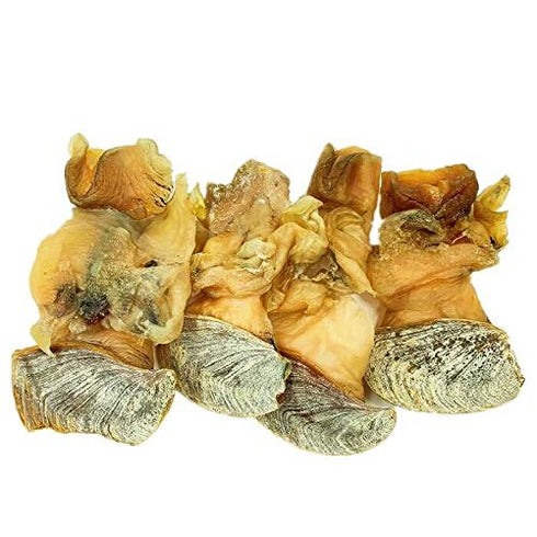 (8oz) Extra Large Fresh Dried Whelk Conch Slices