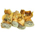 (8oz) Extra Large Fresh Dried Whelk Conch Slices