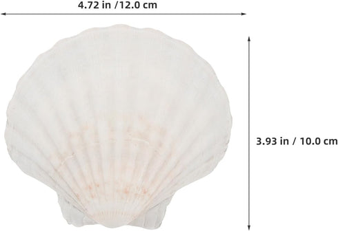 20pcs 10-12cm Set Luxshiny Natural Scallop Shells for Baking and Serving Food, Seashell Plates for Bbq Cooking