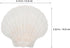 20pcs 10-12cm Set Luxshiny Natural Scallop Shells for Baking and Serving Food, Seashell Plates for Bbq Cooking