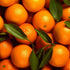 Generic (1 Fresh California Mandarins, Premium Sweet Citrus Fruit Pound)