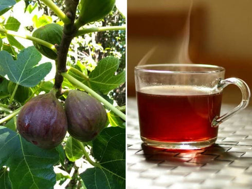 2oz (58gr) Nature100% Yerbero - Fig Leaves Herbal Tea Hoja De Higo Te | Ficus carica | Stand Up Resealable Bag Crafted