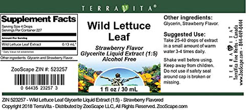 Terravita (1:5) (1 oz, 523257) Wild Lettuce Leaf Glycerite Liquid Extract - Strawberry Flavored ZIN:
