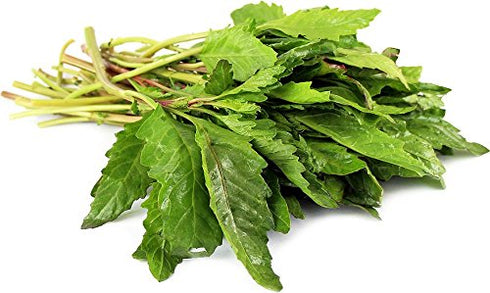 Nature Tea 100% (8 oz) Epazote Herb - Dried Chenopodium ambrosioides C/S from Nature