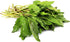 Nature Tea 100% (8 oz) Epazote Herb - Dried Chenopodium ambrosioides C/S from Nature
