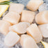 (1lb.) Sea Scallops