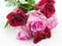 6 KaBloom PRIME NEXT DAY DELIVERY - Red and Pink Roses with Greens Bouquet.Gift for Birthday, Sympathy, Anniversary
