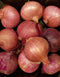 TastePadThai Fresh Shallots 2 Lbs. Produce of USA