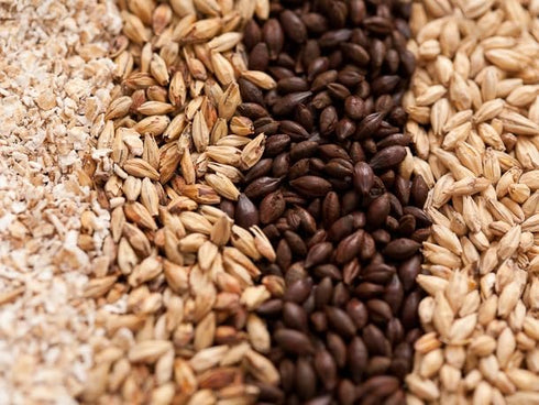 All Grain Beer Ingredient Kit for German Blonde Lager - My Brew Supply