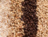 All Grain Beer Ingredient Kit for German Blonde Lager - My Brew Supply