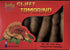 Generic Fresh Sweet Tamarind Fruit.