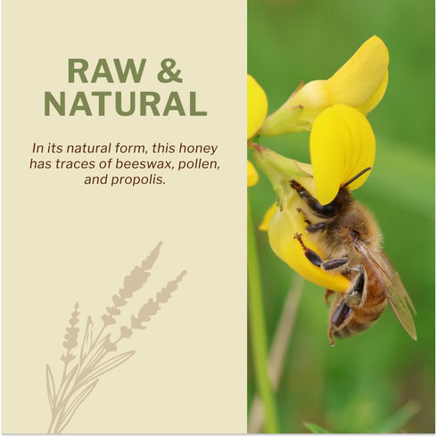 100% 17.6 Oz/1.1 Lbs, Oneroot Organic Canadian Wildflower Honey - Unheated & Creamed - Nutrient-Rich, Natural Sweetener
