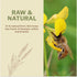 100% 17.6 Oz/1.1 Lbs, Oneroot Organic Canadian Wildflower Honey - Unheated & Creamed - Nutrient-Rich, Natural Sweetener
