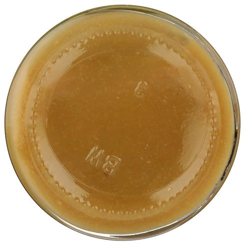 New York Shuk Preserved Lemon Paste