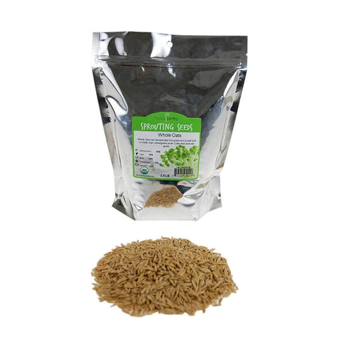Handy Pantry 2 Lb Organic Non-GMO Whole Oat Grain Seeds (with Husk