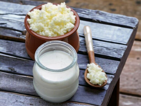 Generic 1 Milk Kefir Grains for Making Probiotic Kefir Drink, strong probiotic, TABLESPOON, bulgaros, pajaritos, alive