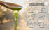 100% 250 mL (8.45 Masmana High-Polyphenol Extra Virgin Olive Oil Early Harvest & Cold Pressed, Polyphenol-Rich EVOO