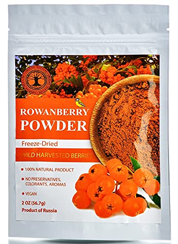 Wild Harvested Rowanberry Freeze-Dried Powder 2 Oz Natural Rowanberry Powder, No added