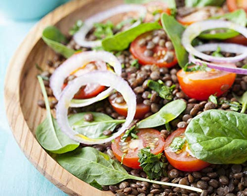 1 Food to Live Organic French Green Lentils, Pound Non-GMO, Whole Dry Beans, Raw, Sproutable, Vegan, Kosher, Bulk. Rich