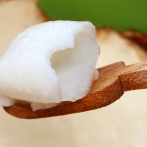 Aroy-D 15oz (Pack 3) Young Coconut Meat in Syrup