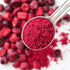 Demeter Botanicals 12 Cranberry Fruit Powder, Ounce, Great for Drinks, Baking and Smoothies, Cold-Pressed, Supports