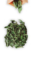 Ceylon Twins 0.5OZ Curry Leaves Naturally Grown Air Dried Herb Fresh Grocery Premium Grade Curry Patta Aromatic Flavor