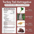 10 Oz Teeccino Turkey Tail Astragalus Coffee Alternative - Toasted Maple - Adaptogenic Herbal Mushroom Coffee, Medium