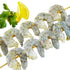 Generic Frozen Raw Shrimp , Peeled & Deveined, Tail-Off, Shrimp, Premium Quality Seafood for Cooking, Grilling