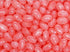 (5LB, Bayside Candy Jelly Bean Collection All Flavors Jelly Beans Cotton candy)