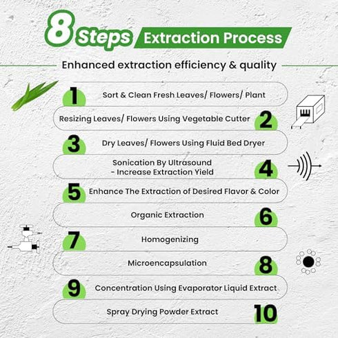 Pandan Extract Concentrate for Bakery & Beverage | Fresh Natural Asian Gourmet Flavoring Ingredient (80g)