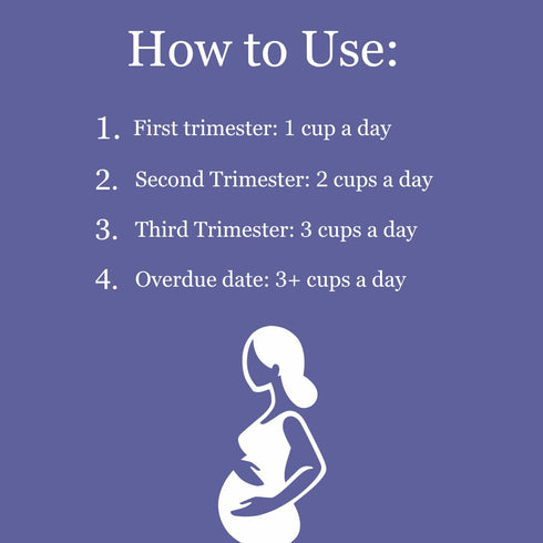 30 Birth Song Botanicals Lady in Waiting Pregnancy Tea Organic Red Raspberry Leaf Tea for Third Trimester Support