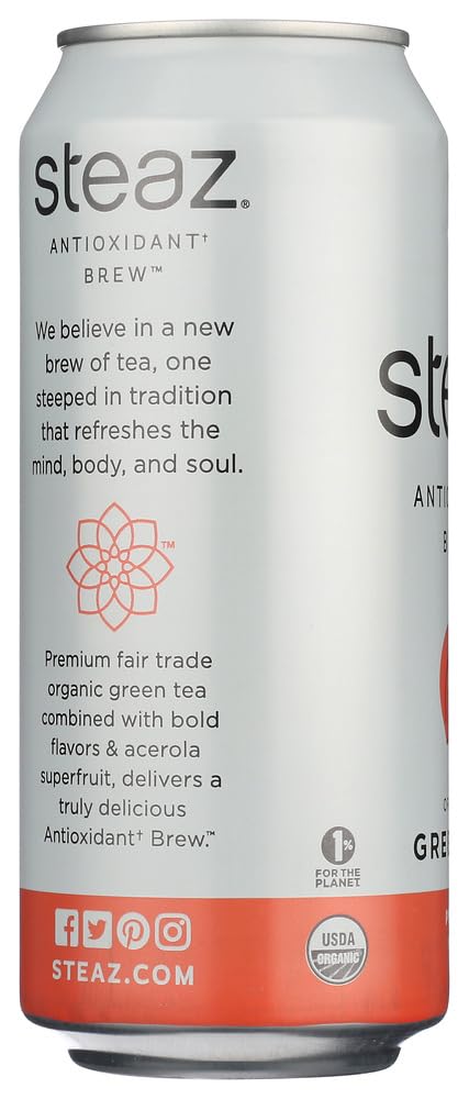 16 OZ (Pack 12) Steaz Organic Lightly Sweetened Iced Green Tea, Peach, FL