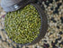 Packed 2lbs McCabe Organic Whole Mung Bean - Mung Beans Organic | Rich with Fiber & Minerals | USDA and CCOF Certified