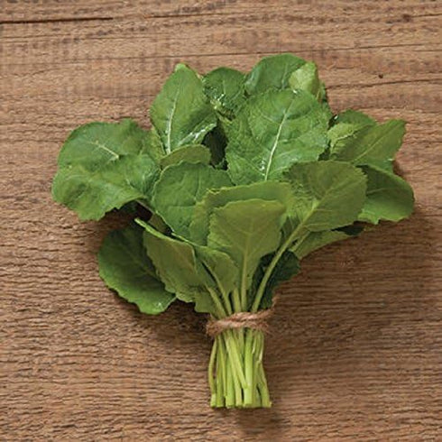 Mustard and Co. (5000) Ethiopian Kale Seed,AKA liki liki, Amara Mustard Green, Highland Kale, Abyssinian Mustard