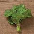 Mustard and Co. (5000) Ethiopian Kale Seed,AKA liki liki, Amara Mustard Green, Highland Kale, Abyssinian Mustard