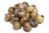 Zuccato Cipolline Borettane all'Aceto Balsamico