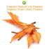Plant Gift 100% 35g Pure Natural Lily Tea, Premium Lilies, Dried Lilium Brownii Lily Flower Tea Lilium Flower bud Tea