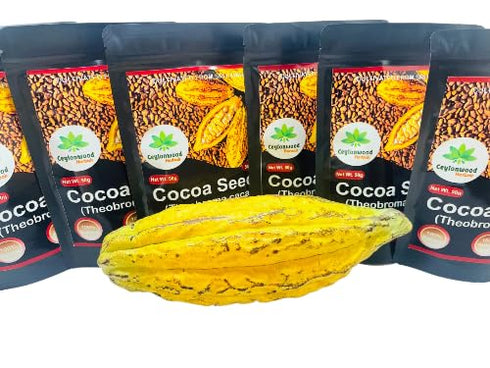 Ceylonwood Herbals 50 Pack Organic Cocoa Seeds, Cacao Seeds, Theobroma cacao Seeds