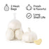 Generic 5PK 2 10 oz Fresh Garlic White Garlic Bag