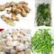 Generic Fresh Cooking Ingredients Set - Ginger Root, Curry Leaves, Garlic Cloves, Thai