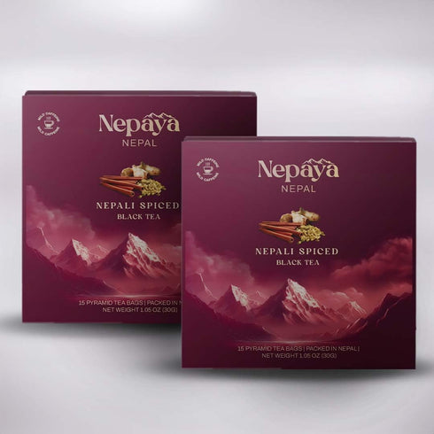 Organic Nepali Spiced Black Tea 30 Count (Pack of 2), Whole Loose Leaf Pyramid Tea Bags from the Himalayas,