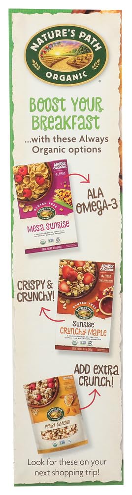 10.6 oz 2 Nature's Path Organic Gluten Free Corn Flakes Fruit Juice Sweetened -- - pc