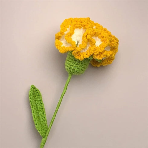 Hcclijo Hand-Knitted Carnation Bouquet for Mother's Day