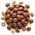 2 NY Spice Shop Milk Chocolate Covered Almonds - Pound Chocolate Coated Almonds - Holiday Sweet Nut Snacks, Festive