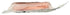 365 by Whole Foods Market 6 , Ham Black Forest Ultra Thin Sliced, Ounce