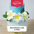 9 Count Global Sugar Art Hibiscus Sugar Cake Flowers, White with Yellow Hawaiian Cake Flower Large, by Chef Alan