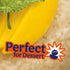 8.5 oz (Pack 12) BEN'S ORIGINAL Ready Rice Coconut Sticky Rice, Easy Dinner Side, Pouch